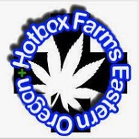 Hotbox Farms