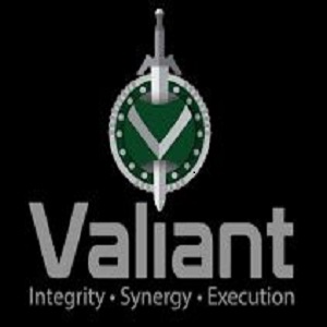 Silicone Teardrop Container Black Yellow