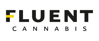 FLUENT Labs