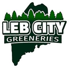 Leb City