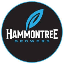Hammon Tree Growers