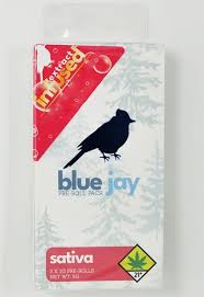 Blue Jay