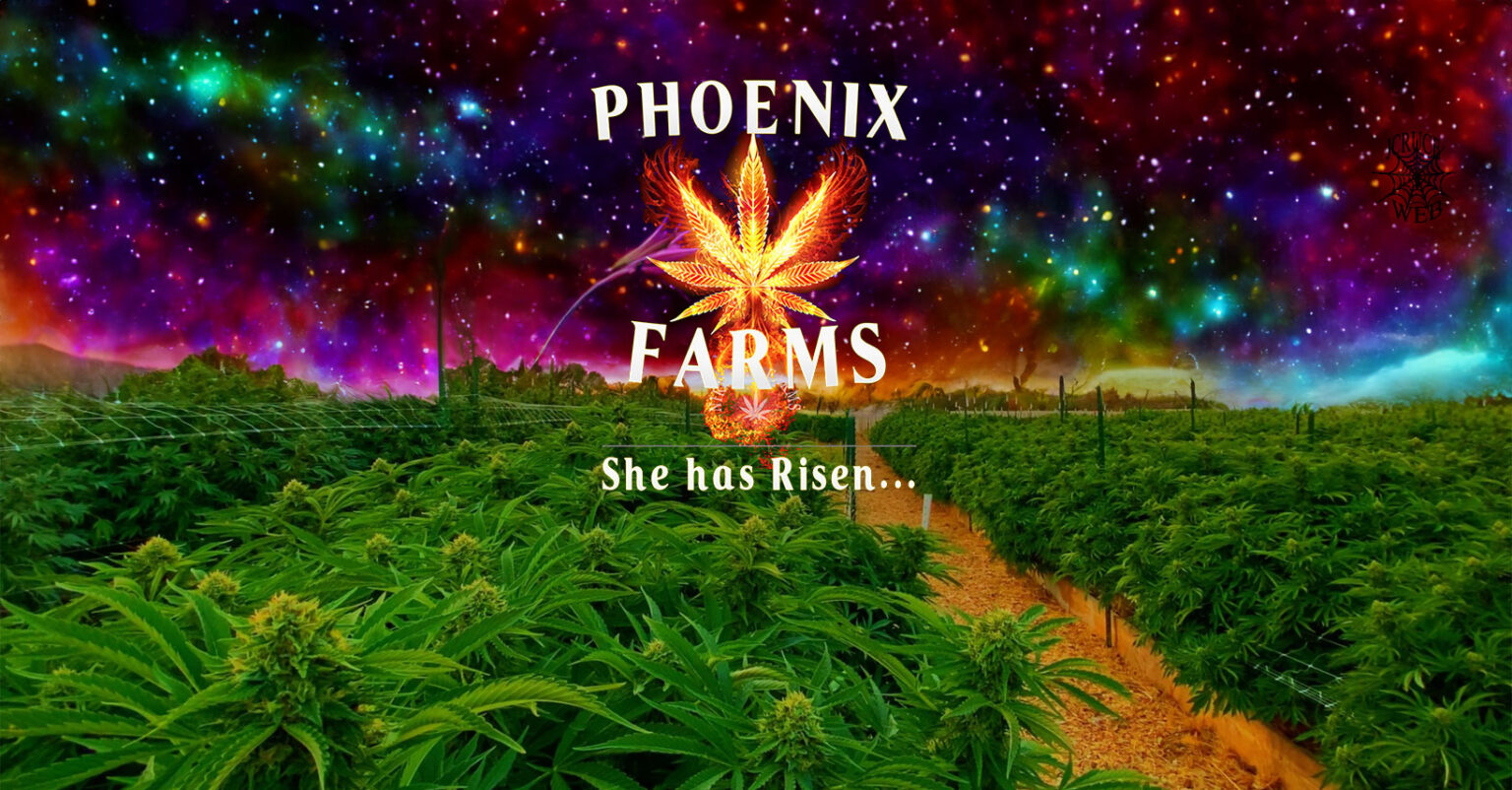 Phoenix Farms