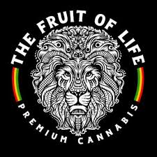 Key Lime Pie Disposable