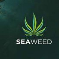 Resin Infused Pre Roll Georgia