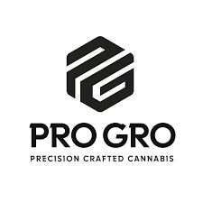 Watermelon Zkittlez Live Resin Disposable | 1g