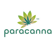 Mega Mango Gummy Making Kit