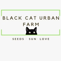 Black Cat Farms
