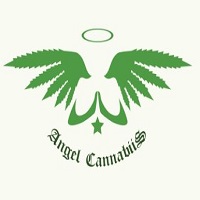 ANGEL - TOPICAL - 89G - HEMP - CBD : THC - BALANCED RELIEF 1:1