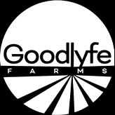 Watermelon Zkittles Infused Pre-Roll