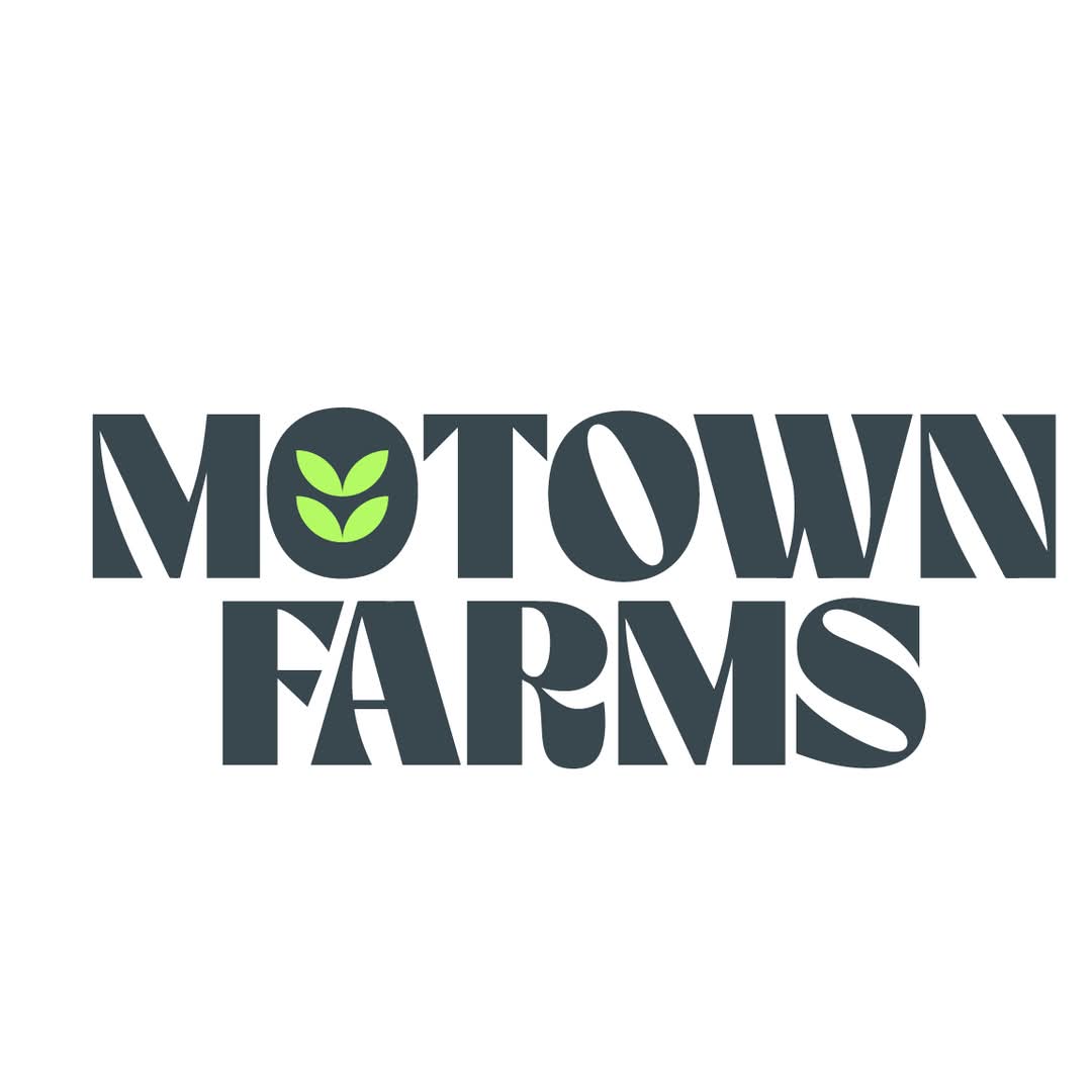 Detroit Runtz 5g Live Resin