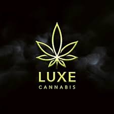 Clear King Papers One Size