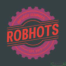 Robhots - 10:1 CBD:THC - [100mg] 10pk Gummies