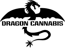 Dragon | Bong | Purple Water Pipe - Shield on both sides