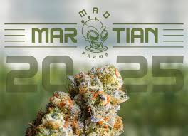 Mad Martian