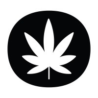 Creative Reflection — Sundae Driver, Blue Dream & Pineapple Express - Live Resin Cartridge