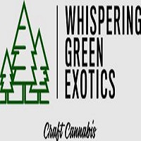 WHISPERING GREEN EXOTICS
