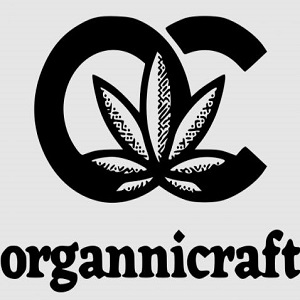 Platinum Grapes [.75g] - 2 Pack Pre Roll